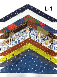 Item thumbnail for item af778df9-2127-4866-8b38-123af015ff5c