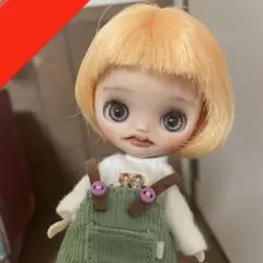 カスタム プチブライス 豆千代スプリングショコラ フルセットshino.doll カスタム プチブライス 豆千代スプリングショコラ フルセットshino