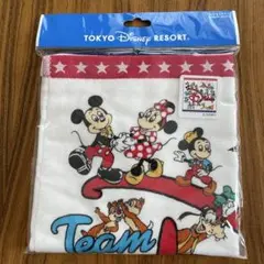 【新品】東京ディズニーリゾート Team Disney ウォッシュタオル