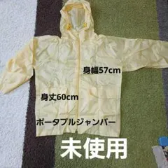 Item thumbnail for item a15ad40d-9b3c-4b48-93d4-e9c70caeeddf