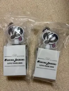 なにわ男子 VoyAGE ペンライト 2個セット 銀テープ