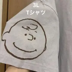 美品✨PEANUTS 半袖Tシャツ チャーリーブラウン スヌーピーのサムネイル