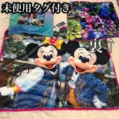 未使用タグ付【ブランケット】イマジニング・ザ・マジック ファンタジースプリングス