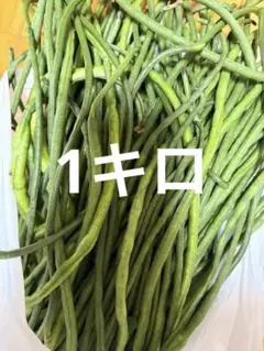 2026年最新】豇豆の人気アイテム - メルカリ