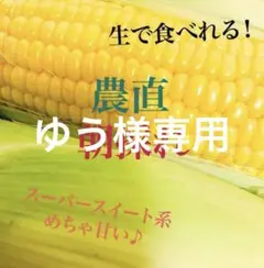 ゆう様専用 とうもろこし 12本 九州 クール