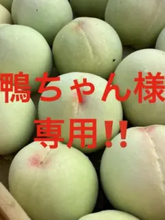 鴨ちゃん様専用‼️