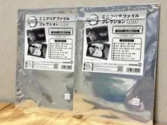 鬼滅の刃 ミニクリアファイルコレクション 2枚セット