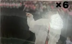 STPR EXPO B賞 A3クリアポスター だいきり