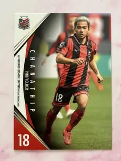 2026年最新】チャナティップの人気アイテム - メルカリ