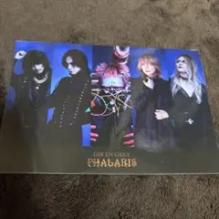 2025年最新】Dir en greyステッカーの人気アイテム - メルカリ