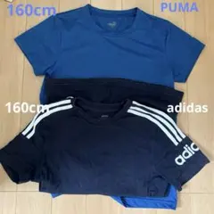 Tシャツ 半袖　プーマ　アディダス　ブルー　青　160 スポーツTシャツ