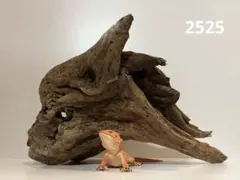 Item thumbnail for item bd05cd35-6a28-4794-936c-7c3ed3190d0a