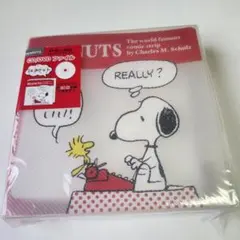 レア スヌーピー PEANUTS CD DVDファイル ケース 24ポケット