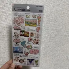 セダムプロフ必読お願いします！！様 リクエスト 2点 まとめ商品