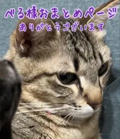 たくりゅう様おまとめ たくりゅう様おまとめ - メルカリ