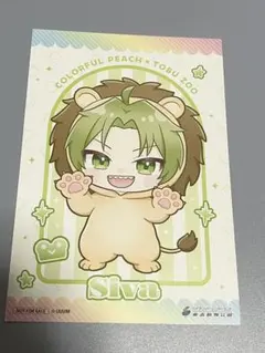 カラフルピーチ　からぴち　東武動物公園　シヴァ　ポストカード　YouTube