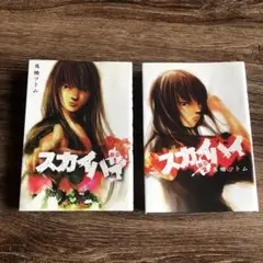 スカイハイ新章1巻・2巻
