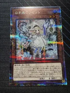2026年最新】白き森のリゼット 25thの人気アイテム - メルカリ