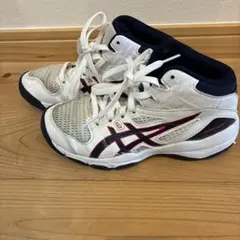 ASICS DUNKSHOT バスケットボールシューズ　21.5㎝のサムネイル