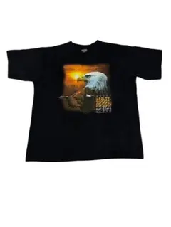 Harley duvidson ヴィンテージＴシャツ　90s シングル