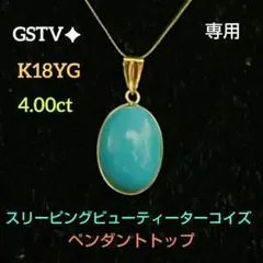 2026年最新】 gstv k18の人気アイテム - メルカリ