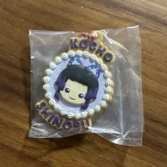 鬼滅の刃 ぷちぶれーく 胡蝶しのぶ