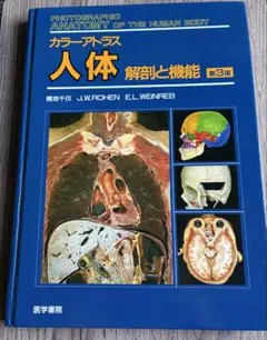 Item thumbnail for item 8a03a082-c2ca-4da7-b9ed-b07034d23da8