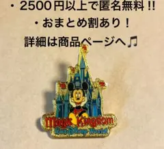 1431昔のディズニーワールドピンゴールドマジックキングダムシンデレラ城ミッキー