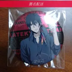 家庭教師ヒットマンREBORN! メタリック缶バッジ Xanxus ゲーム配信者