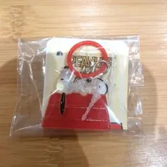 PEANUTS スヌーピー ミニチャーム