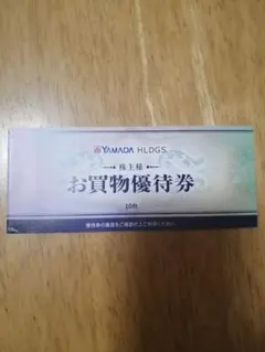 YAMADA HLDGS. お買物優待券 10枚セット