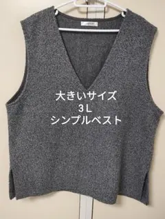 Y*6様 大きいサイズ*3Ｌ*シンプルベスト