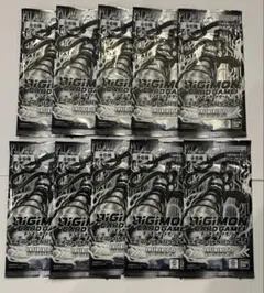 デジモンカードゲーム テイマーバトルパック29 WINNER 10パック