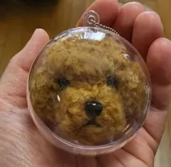 Item thumbnail for item 974f73d1-8ab9-4623-9e62-40d550edd507