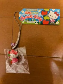 2025年最新】南アルプス限定キティーの人気アイテム - メルカリ