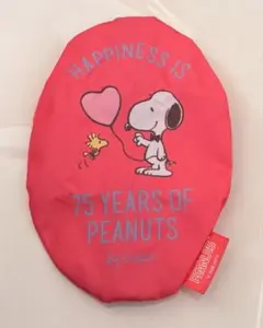 【未使用】スヌーピー 75 Years of Peanuts ポーチ