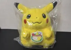 ポケモン Pokémon 30周年記念 おかえり ピカチュウ 1/1 ぬいぐるみ