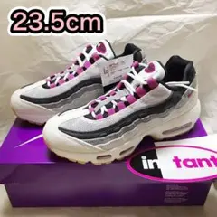 Nike SB Air Max 95 ナイキ エアマックス 23.5cm
