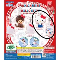 ハローキティ×モンチッチ めじるしアクセサリー