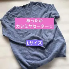 ⭕️値引き300円　青 色Vネック 長袖 ニットセーター