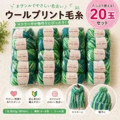 新品【ウール100%】毛糸 大量 20玉 ウールプリント 同系色セット