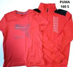 PUMA プーマ レッド 赤 半袖Tシャツ 裏起毛ジャージセット 160 S