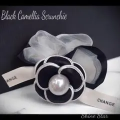 Item thumbnail for item 0c40bff7-2c65-4fc6-9942-fee4d6622df1