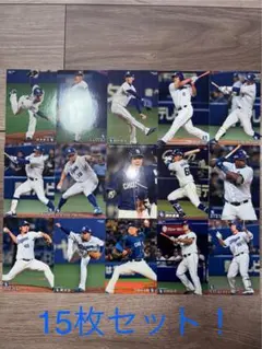 カルビープロ野球チップス中日ドラゴンズ15枚セット