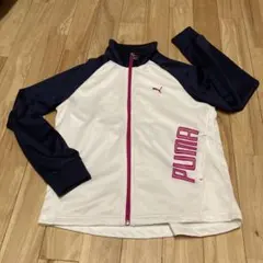 PUMA レディース　ジャージ　サイズM
