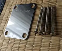 Item thumbnail for item 99cb6e57-4d33-4cc9-9a1b-2a239c0da511