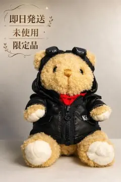 Korean Air コリアンエアー　パイロット　テディベア　ぬいぐるみ　熊 コリアンエアー テディベア ぬいぐるみ クマ 熊 飛行機 空港