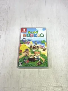 あつまれ どうぶつの森 Nintendo Switch