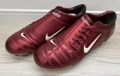 【超激レア】NIKE Air Zoom Total 90 IIIのサムネイル