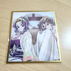 鬼滅の刃 WEB SHOPくじ アクリル色紙 胡蝶しのぶ 栗花落カナヲ